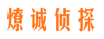 沧县市调查公司